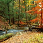 Balade à la campagne